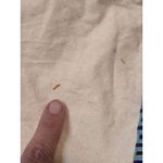 Tory Burch Medium Dust Bag 12"x15" Drawstring Beige Pouch w Gold Tone Logo Charm Photo 3