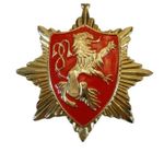 Vintage Heraldic Lion Crest Brooch Red Enamel Crown Starburst Coat of Arms Pin Photo 3