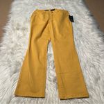 Charter Club  Lexington Straight Pant Honey Glaze 10P Photo 1