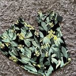 Norma Kamali  LOW BACK SLIP MERMAID FISHTAIL GOWN green palms maxi Dress size S Photo 0