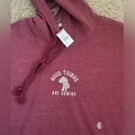 Tilly's Tilly’s maroon / red mushroom embroidered hooded sweatshirt size medium (NWT) Photo 1