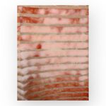 Terra & Sky  Pink Burnout Stripe Short Sleeve V-Neck Tee Women’s 1X Plus Size Photo 1