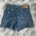 PacSun  Baggy High-Waisted shorts Photo 1