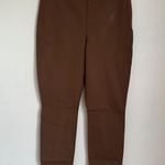 Everlane NEW  The Bi-Stretch Work Pant in Cocoa Brown Photo 2
