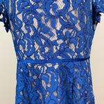 Adrianna Papell Dress 14 Blue Lace A-Line Lined Scalloped Hem Zip Knee Length Photo 2