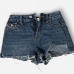 PacSun Dark Wash  Shorts Photo 0
