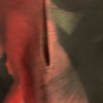 Nwot Nadeem khan floral print silk dress Size 6 Photo 11