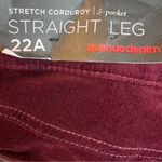 Avenue Denim Size 22A(Average) Stretch Corduroy 5 Pocket Straight Leg Pants Photo 7