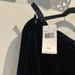 Dana Buchman Vintage velvet pants
  Luxurious dark blue pants Photo 6