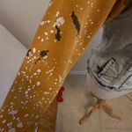 Evolution In Design Paint Photo 3