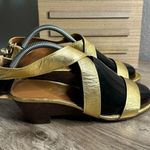 Kate Spade Saturday Women’s 9 Brand New Gold Strappy Sandals Metallic NWT New Photo 0