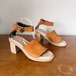 Rag and Bone  • Soren Sandal block heel Cuoro Suede ankle strap open toe chunky Photo 11
