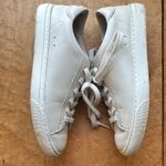 Everlane | White Leather Sneakers | size 6 Photo 2