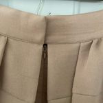 BCBGeneration Dark Buff Pleated Full Mini Skirt Size 10 Photo 2