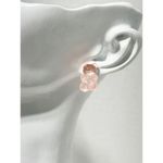 Gummy Bear Novelty Candy Lollies Earrings Studs 2 pairs Peach Pink Statement‎ Pink Photo 2