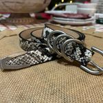 Rag and Bone Baby Spire Snakeskin Hip Belt with Triple Silver Rings Sz L Photo 4