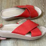 Vionic  Hayden Sandals Slides Cherry Red 6 Photo 0