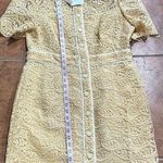 Sandro NWT Woman Livy Grosgrain-trimmed Corded Lace Mini Dress size 42 (6/8) Photo 9