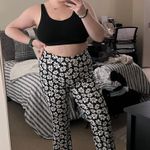 Hollister Flare Pants Photo 0