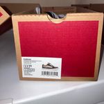 Vans Caldrone Photo 4