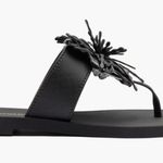 Larroude Hibiscus Sandals in Black, Size 10/11 NEW w/o Box Black Photo 9