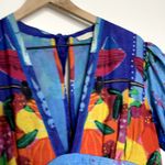 Carolina Constas Greta Midi Dress Frutas Womens Blue Large Photo 7