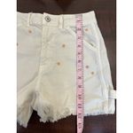 American Eagle  Outfitters Highest Rise 90s Boyfriend Carpenter Short Womens 24 Photo 4