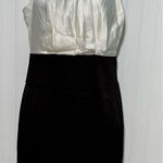 BCBGMAXAZRIA  Womens Silk Charmeuse Bodycon Cocktail‎ Paty Dress Beige Black 4 Photo 0