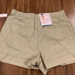 Joie  sage green linen pleated high rise shorts nwt size  large new faded cactus Photo 0