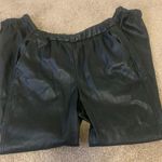 Z Supply Leather Joggers  Photo 0