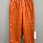 Genuine Sheepskin Leather Pull On Pants in Caramel XS Brown Photo 0