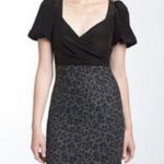 Rebecca Taylor sz 2 Cheetah Print Sheath Dress Photo 0