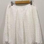 Anthropologie MAEVE Eyelet Pleated Antique White Skirt Photo 1