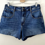 Pilcro by Anthropologie Denim Shorts Sz 12 Blue Photo 0