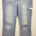 Garage NWT  Denim 90s Relaxed Straight Cut Leg Jeans Hayden Blue Distressed Photo 1