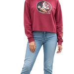 Colosseum FSU FLORIDA STATE UNIVERSITY Hoodie sweatshirt size L Photo 0