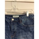 PacSun LA Mid Rise Shorts Size 29 Button Fly Frayed Cut offs Photo 2