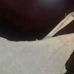 White Ruched Lace Bodycon Dress with Spaghetti Straps Size L Photo 8