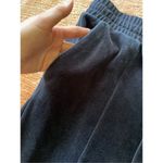 Club Monaco  Velour Jogger  Pants L Photo 2