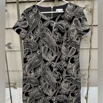 Calvin Klein  Velvet Dress With Gold Embroidery Photo 0