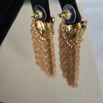 Boutique Statement Glam Gold Lion Earrings with Shimmer Chain Fringe Photo 3