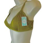 Anemone NWT  Olive Bralette. Size Medium Photo 2