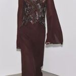 ZARA   ZW Collection Sequin Embroidered Long Dress Size L Brown Photo 0