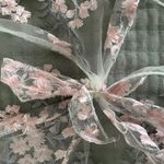 Blushmark Mesh Festival Top Photo 1