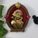 Disney  Princess Snow White January Month Garnet Birthstone Pin NIB Photo 0
