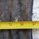 Chiffon clock scarf 19 x 21 Photo 2