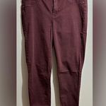 Maurice's  Women's Dark Burgundy Straight Leg Jeans (100) Photo 0