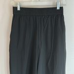 Lysse  Black Stretch Nylon Wide Leg Pull On Pants Photo 2