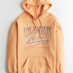 Hollister  dark yellow Los Angeles Baseball sweatshirt ⭐️ Photo 0