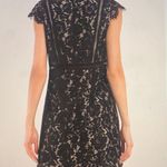 Tobi Black Shift DRESS Photo 2